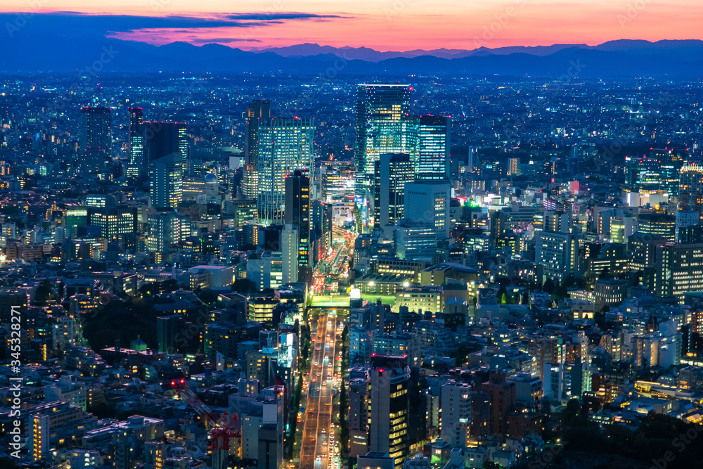 Japan. Panorama of the Japanese city at dusk. View of Tokyo from a height. City on the background of silhouettes of mountains. Cities of Japan. Urban infrastructure. Evening in the big city.