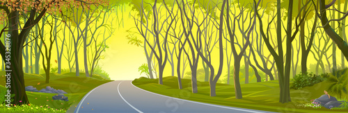 Panoramic view of a dense jungle. A view while traveling across the forest.