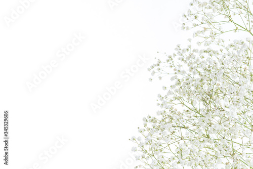 植物 アドビストックのデザイン かべいろ Com おしゃれ壁紙リフォーム貼り替え インクジェット壁紙のかべいろ Com