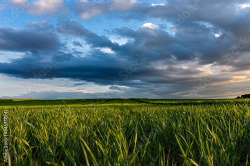 A fresh green field with dark clouds passing by.