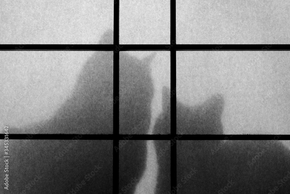 Fototapeta premium 襖