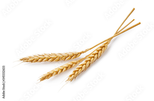 Canvastavla Three wheat spikelets isolated on white background