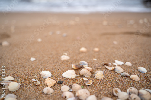 Sea wave running towards the coast from small shells in Skane, Sweden. Selective focus