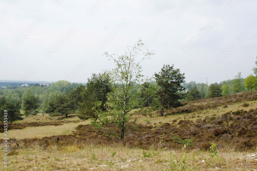 Die Senne ist eine Landschaft in der Region Ostwestfalen-Lippe des Bundeslandes Nordrhein-Westfalen. Die Senne ist eine Landschaft in der Region Ostwestfalen-Lippe des Bundeslandes Nordrhein-Westfalen.