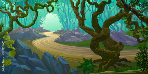 Creepy branches tangled across the forest. A road through the jungle.