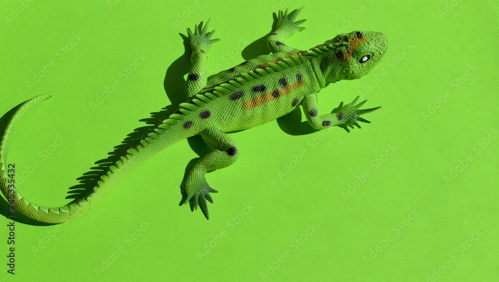 Fototapeta premium Iguana on a green background. Toys for kids. Play with children. Copy space. Horizontal format.