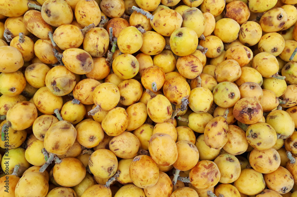 A tropical fruit: loquat aka Japanese medlar A tropical fruit: loquat aka Japanese medlar