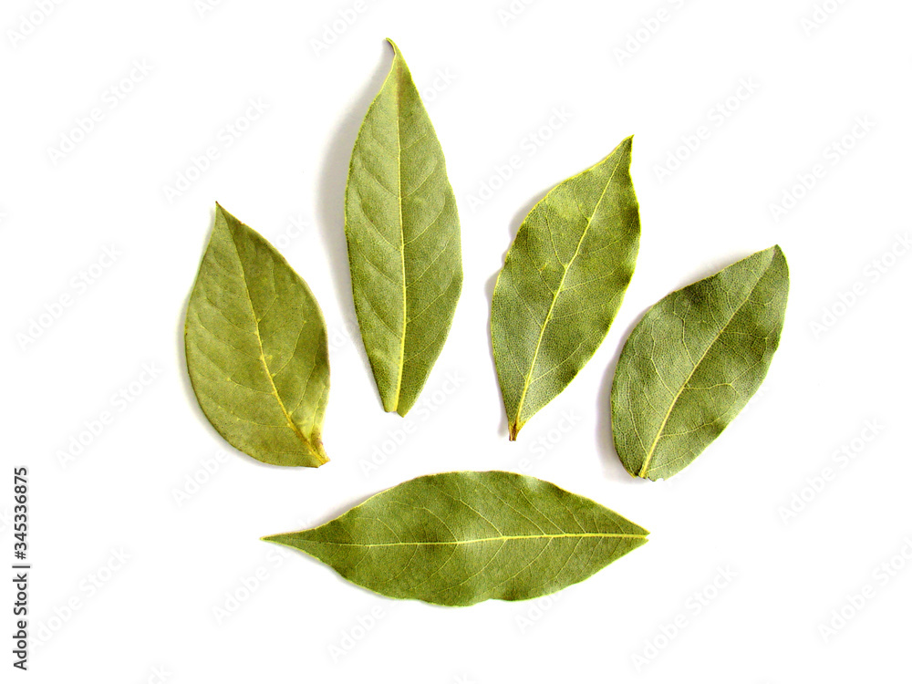 Five bay leaves on a white background Five bay leaves on a white background