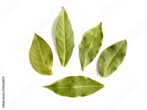 Five bay leaves on a white background