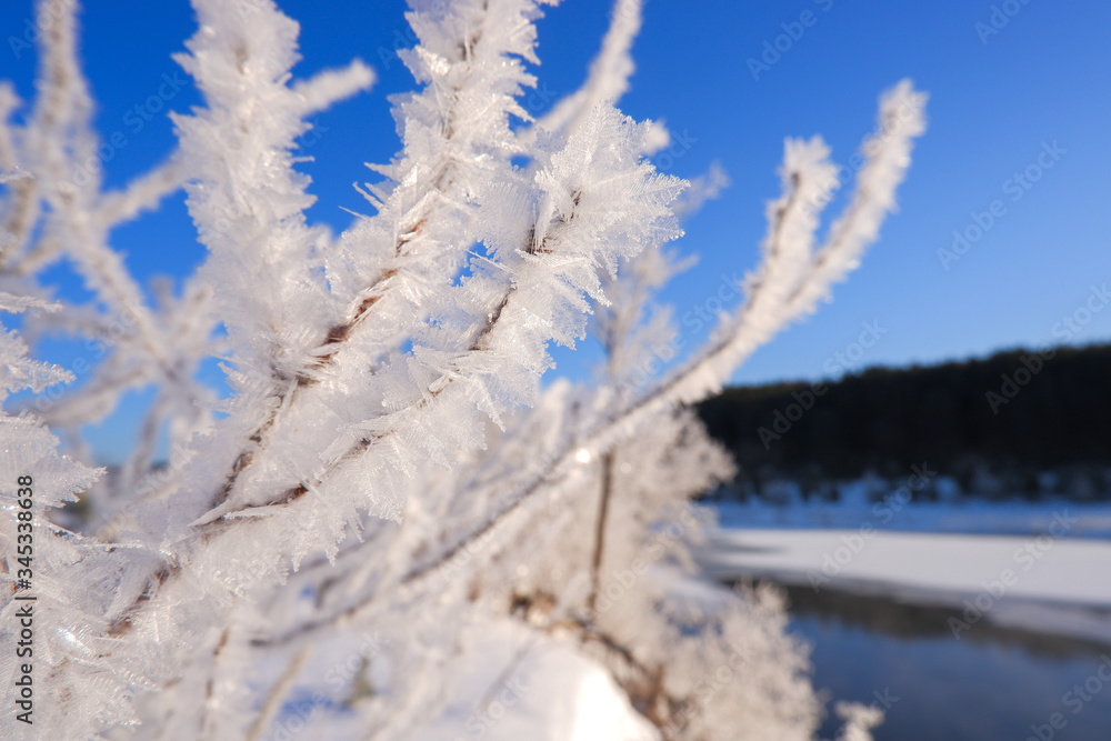 Branch of tree covered with white hoarfrost against blue sky. Closeup. Frosty morning. Beautiful winter landscape. Clear frosty weather. Soft selective focus. Background pattern