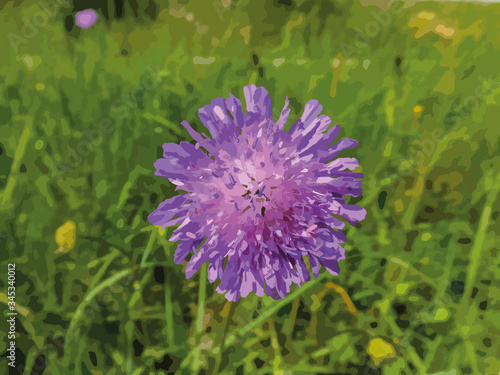 The blooming thistle flower