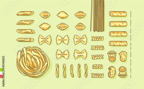 Flat lay vector illustration of different pasta shapes and types: farfalle, casarecce, fusilli, fettuccine, pipe rigate, tortiglioni, conchiglie, spaghetti, penne. Top view of Italian cuisine staples.