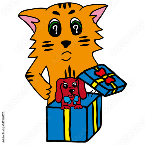 A very unexpected gift for a cat.