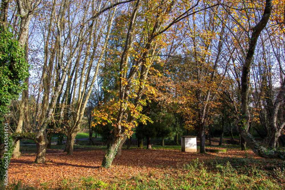 Naklejka premium Parque do Rio Ul em São João da Madeira, Portugal