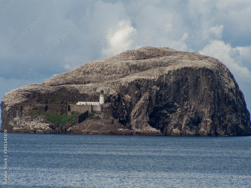 Bass Rock covered in white, Gannet seabirds at the mouth of the Firth of Forth in Scotland.