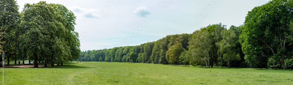 panorama of a park, trees behind a green meadow