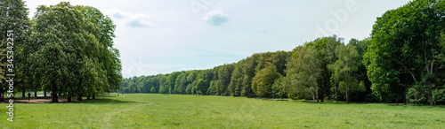 panorama of a park  trees behind a green meadow