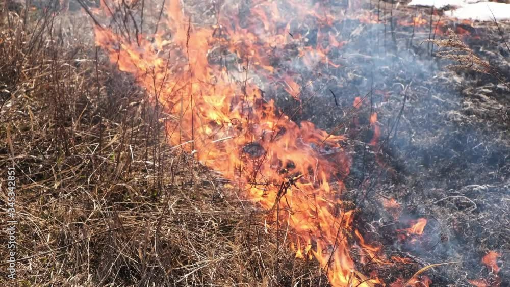 Burning dry grass and reeds.Careless handling of fire or arson. Burning dry grass and reeds.Careless handling of fire or arson.