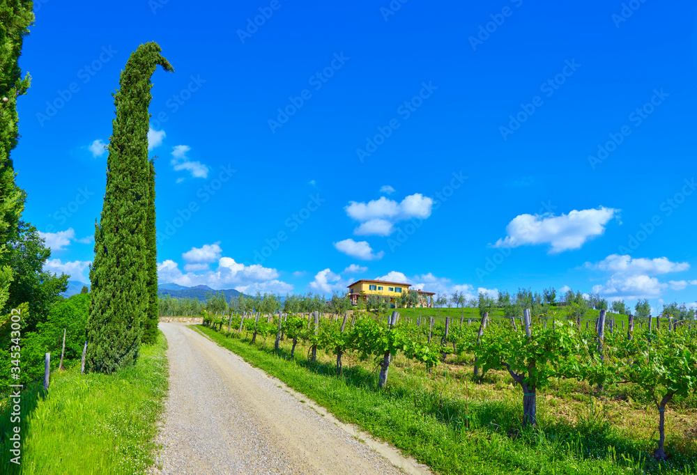 Obraz premium Italian winery in Tuscany near Reggello.
