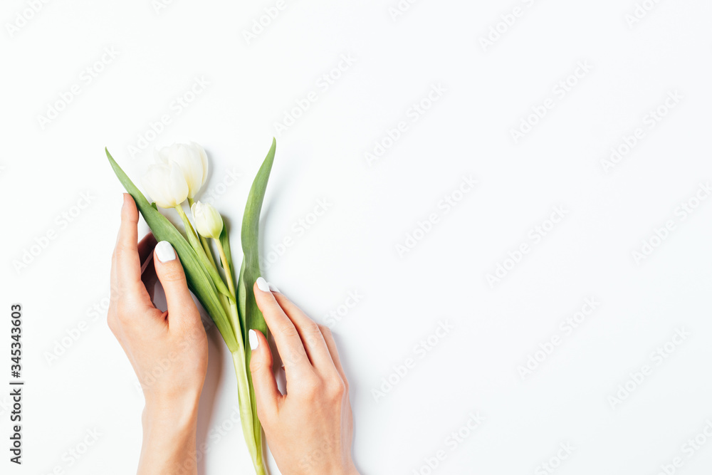 Woman's hands with manicure holding delicate tulip flower Woman's hands with manicure holding delicate tulip flower