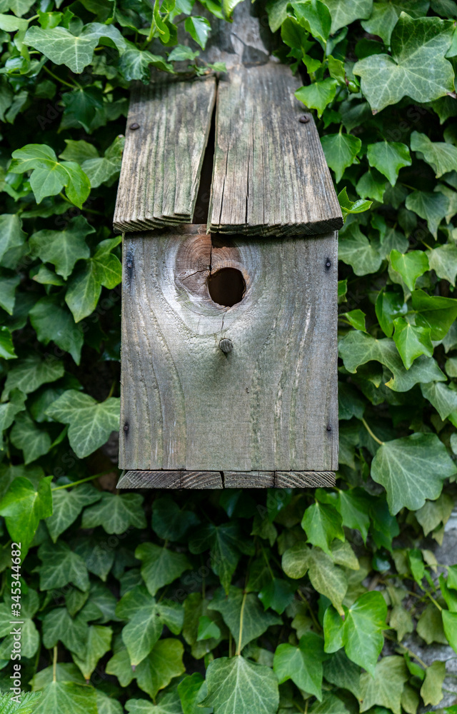 birdhouse, house, tree, wood, nature, wooden, home,