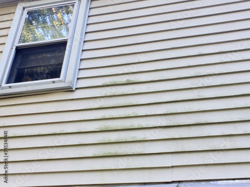 window with green mold on vinyl siding on house