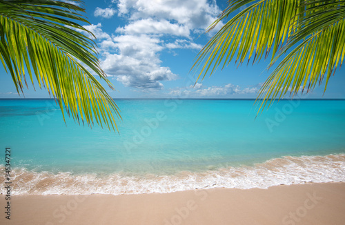 Fototapeta Naklejka Na Ścianę i Meble -  Tropical vacation paradise with white sandy beaches and swaying palm trees.