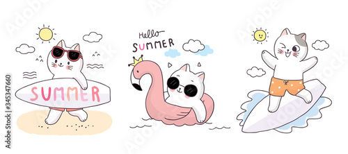 Cartoon cute summer cats and surfing vector.