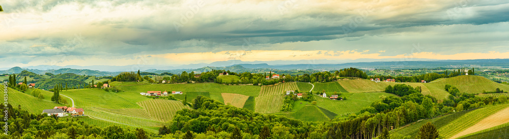 Vineyards panorama in Steinbach, Leibnitz area famous destination wine street area south Styria , wine country in spring. Tourist destination.