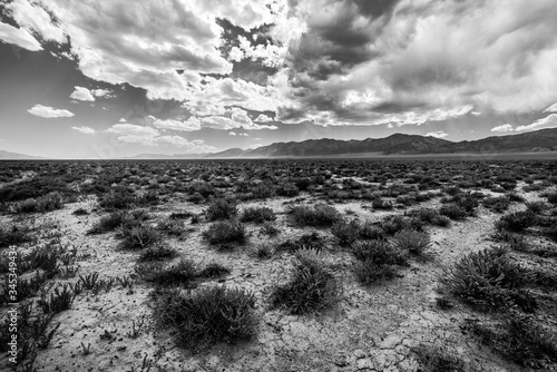 Wallpaper Mural A view of the Nevada Desert and the Ruby Mountains, as seen from Highway 50, "The Loneliest Road in America" Torontodigital.ca