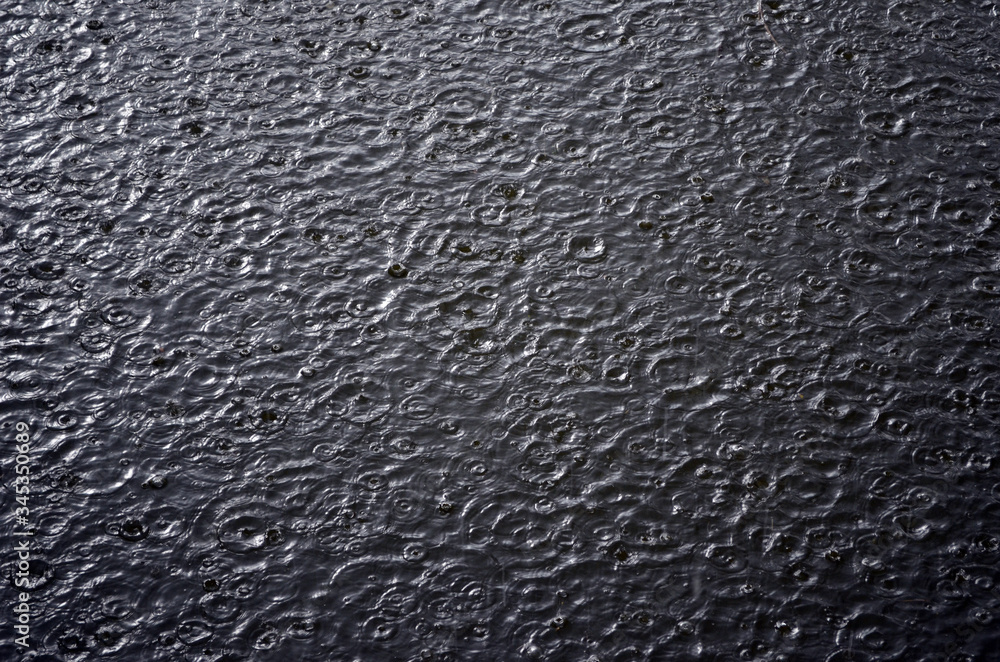 water drop on the pond surface
water drop on the pond surface
