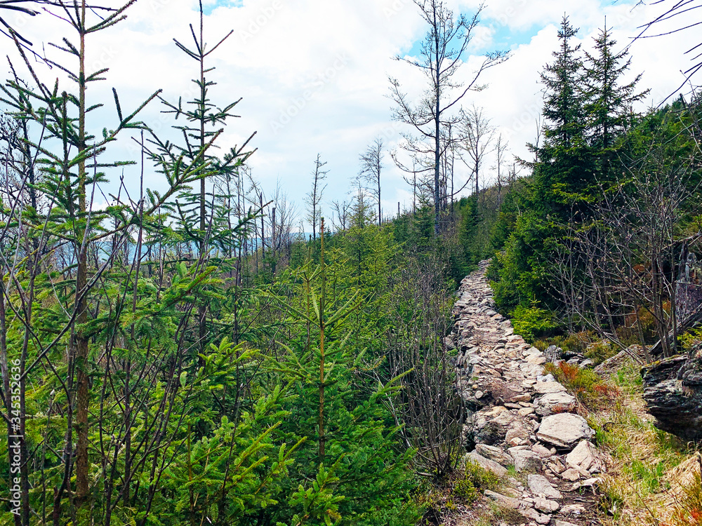 Idyllischer Wanderweg Idyllischer Wanderweg