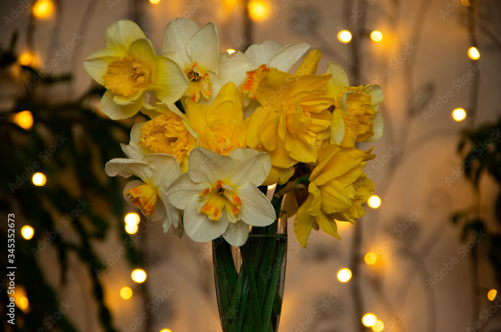 Yellow daffodils in a glass of water with lights in the background