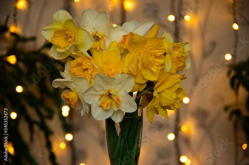 Yellow daffodils in a glass of water with lights in the background