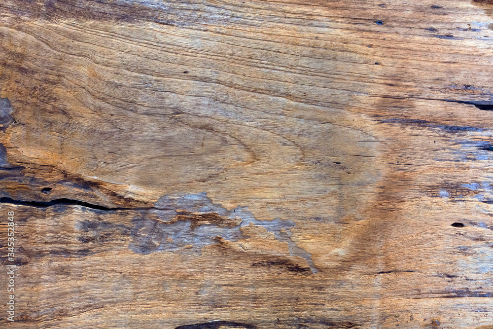 Naklejka premium Old wood surface for background or texture