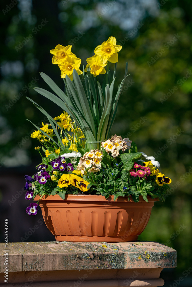 Flower Pot 1