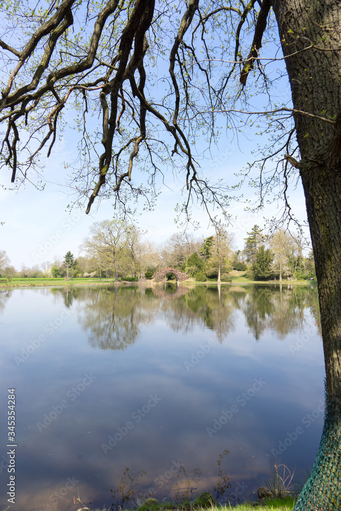 Reflection of trees in the calm lake in spring