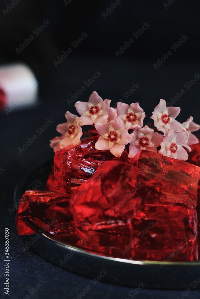 Sweet jelly dessert, design food, creative meals with vanilla flowers in dark mood on black background