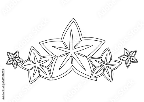 トロピカルフルーツ　スターフルーツ　線画