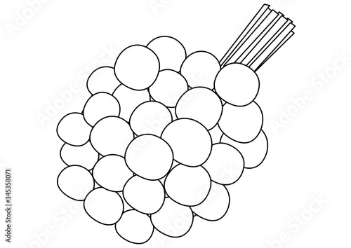 トロピカルフルーツ　リュウガン　線画