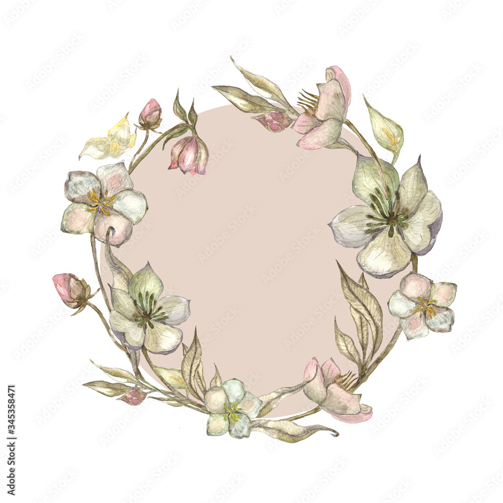 White hellebores flower wreath. Watercolor hand drawn illustration for wedding design, card, poster, logo floral shop, organic