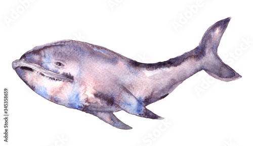 Watercolor cute whale hand painted illustration isolated on white background. underwater animal art. Cartoon Blue whale