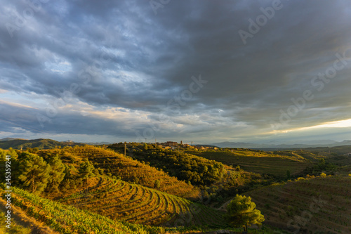 Tableau sur toile Beautiful sunset in the wine country