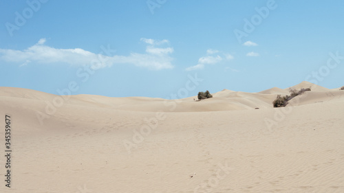 Dunes in summer in Canary Islands  Spain 