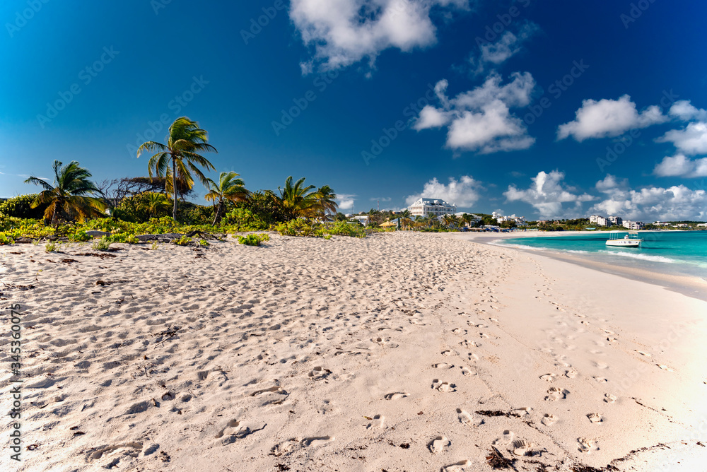 luxury and palm trees on the white sand tropical island of Anguilla luxury and palm trees on the white sand tropical island of Anguilla