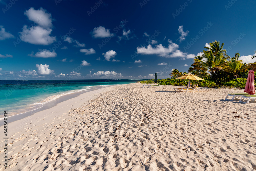 luxury and palm trees on the white sand tropical island of Anguilla