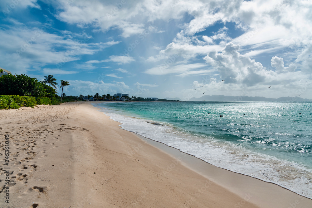 luxury and palm trees on the white sand tropical island of Anguilla luxury and palm trees on the white sand tropical island of Anguilla