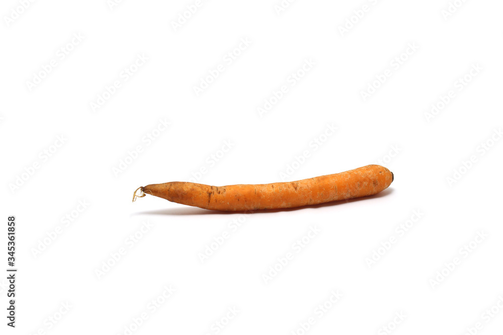 A carrot (Daucus carota) isolated on white background A carrot (Daucus carota) isolated on white background