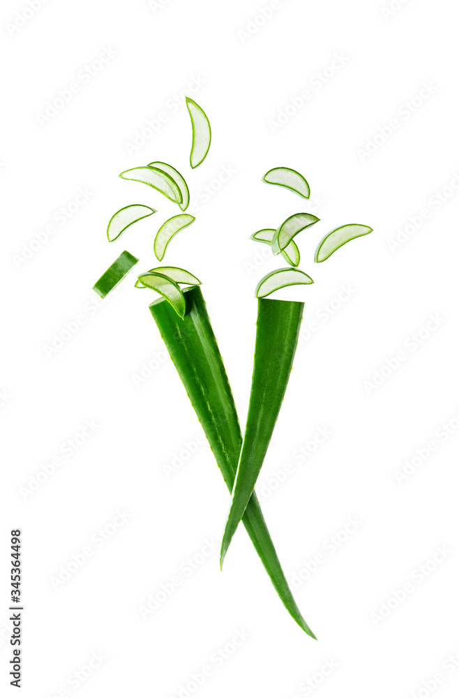 Aloe vera fresh leaf isolated on white background with copy space. Green fresh layout for ad products with aloe vera. Aloe vera fresh leaf isolated on white background with copy space. Green fresh layout for ad products with aloe vera.