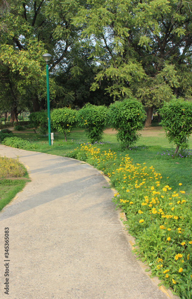 Pathway in a garden in New Delhi